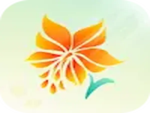 Lillycash